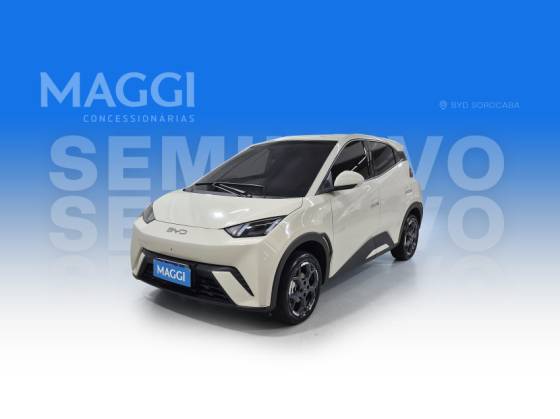 BYD DOLPHIN MINI 38 KW ELÉTRICO GS BYD DOLPHIN MINI 38 KW ELÉTRICO GS